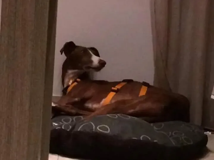 received 10209089638230765