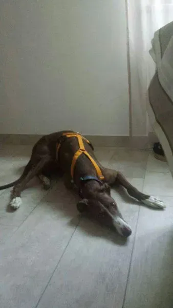 received 10209089638430770