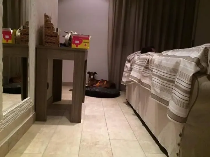 received 10209089639030785