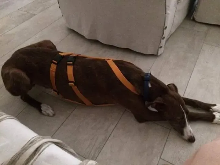 received 10209089639070786