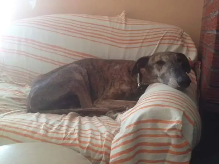 received 10209089639390794