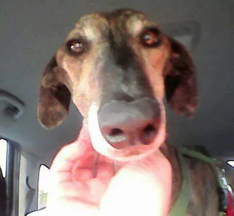 received 10209089639470796