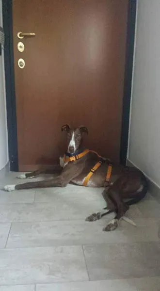 received 10209089639750803