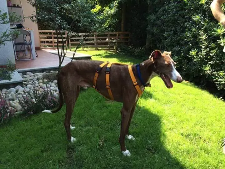 received 10209089639870806