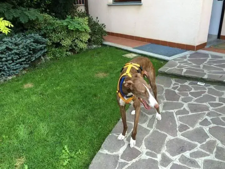 received 10209089640150813