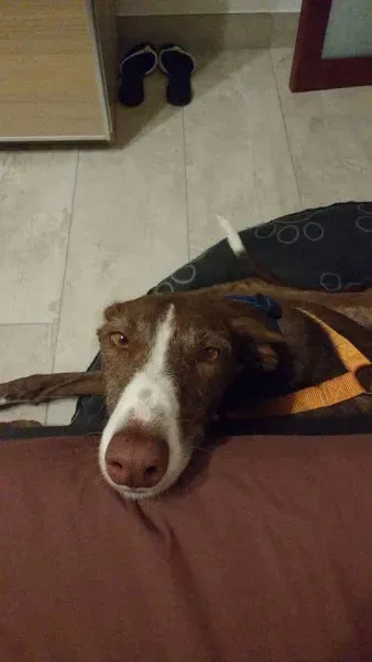 received 10209089640390819