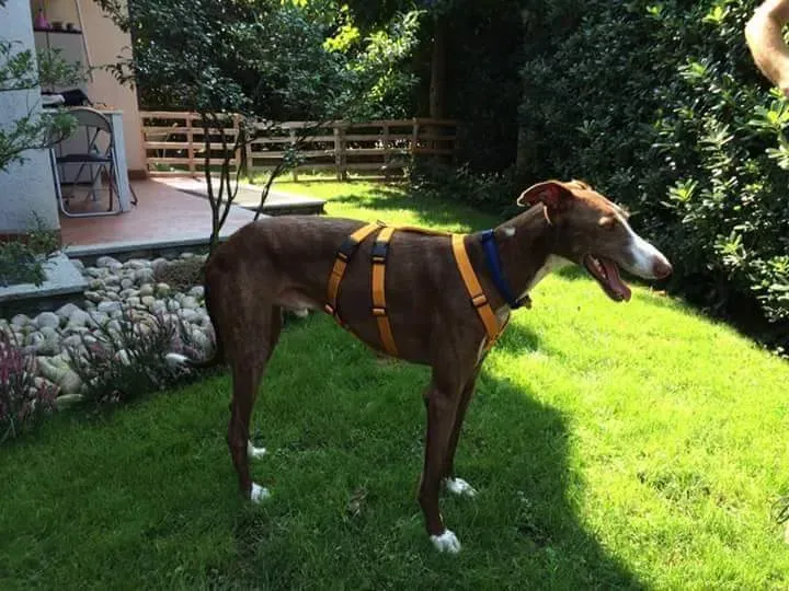 received 10209089640550823