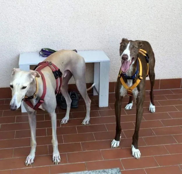 received 10209089640750828