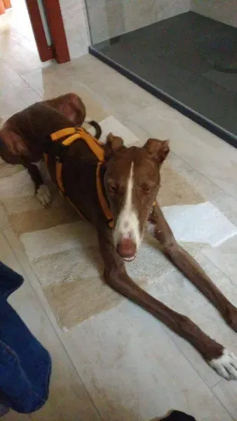 received 10209089640790829