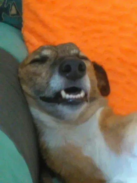 received 10209124044330896