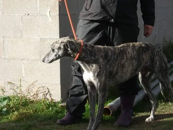 received 10209529157218465