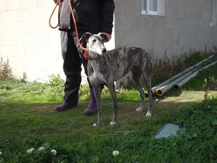 received 10209529159258516