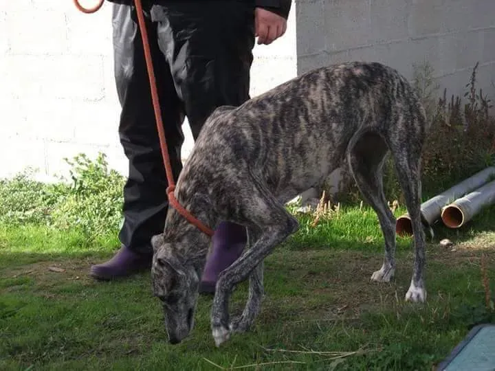 received 10209529159378519