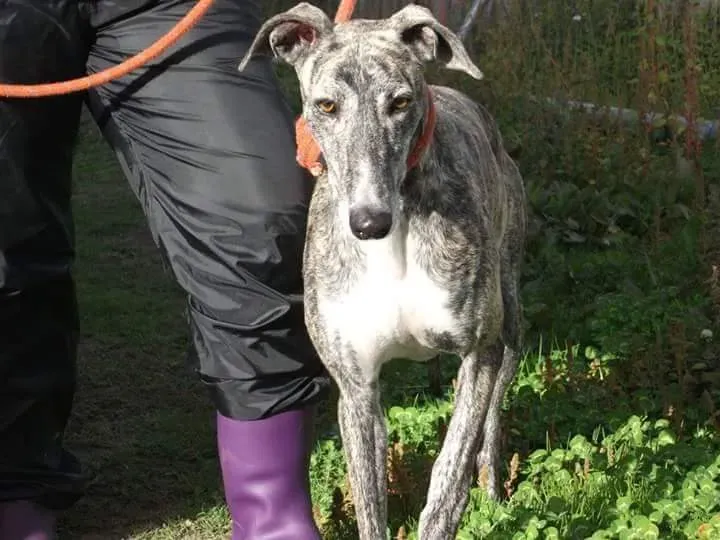 received 10209529159458521