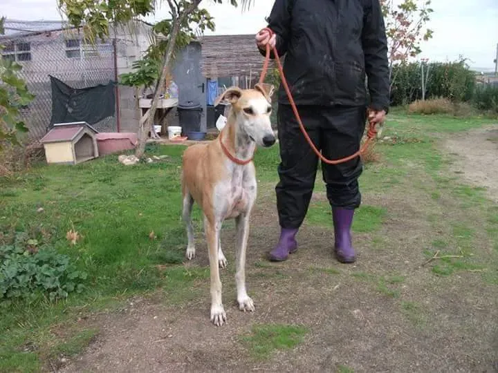 received 10209556897791962