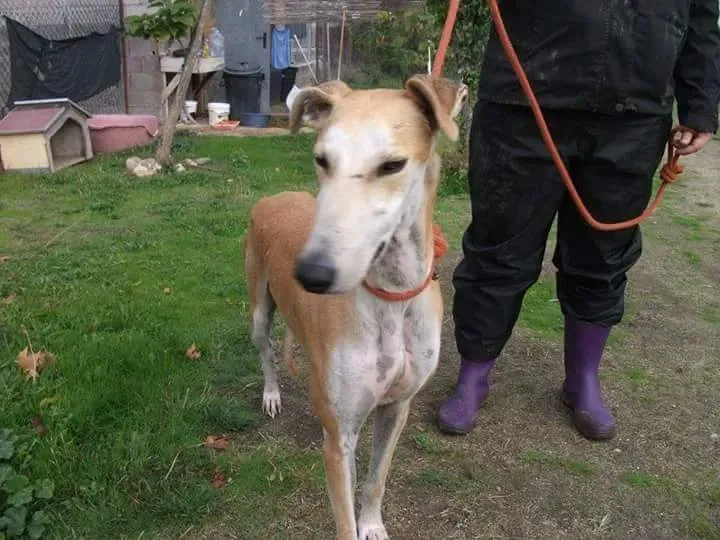 received 10209556897831963