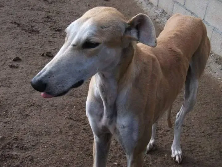 received 10209556897951966