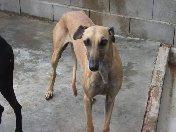 received 10209556899111995