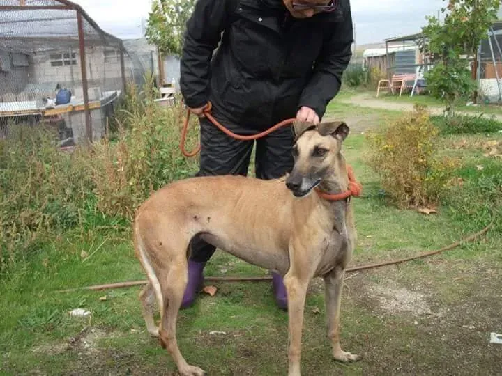 received 10209556899151996