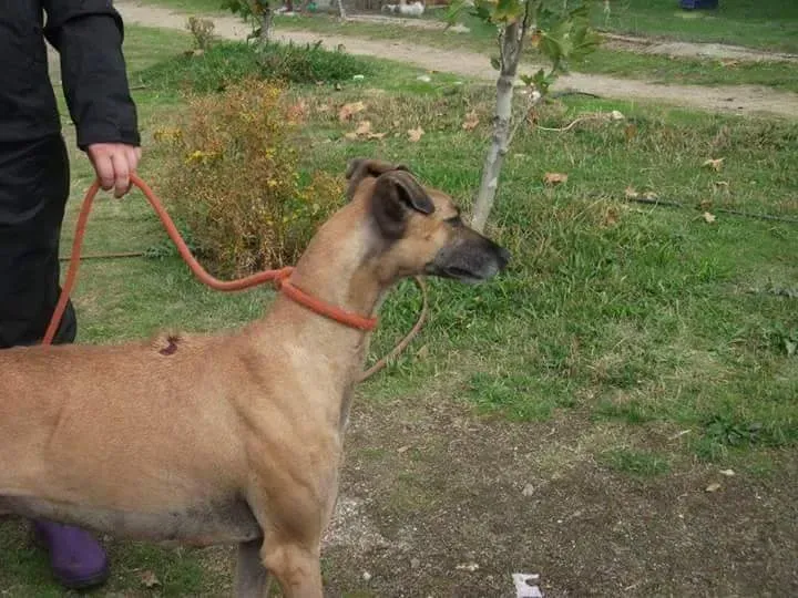 received 10209556899312000