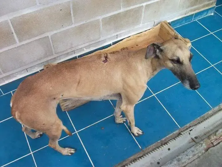 received 10209556899352001