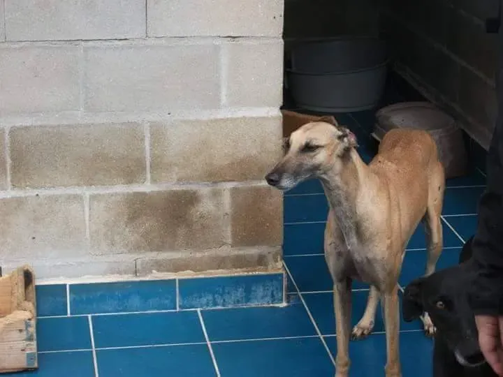 received 10209556899392002