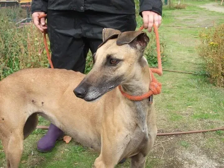 received 10209556899432003