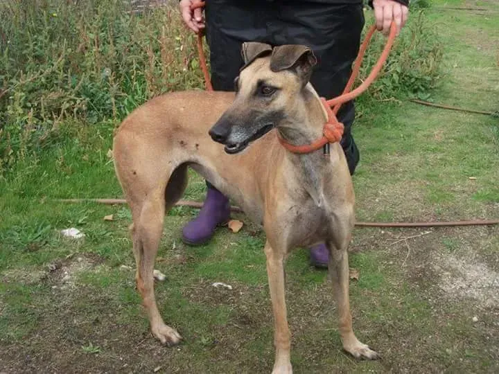 received 10209556899592007