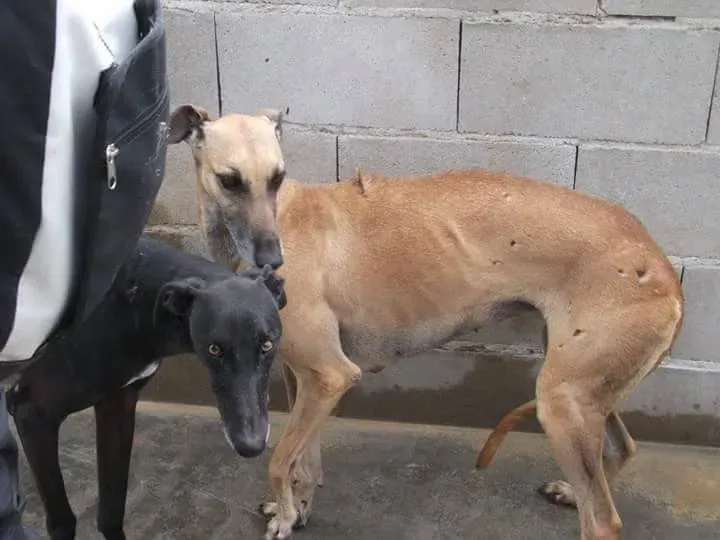 received 10209556899632008