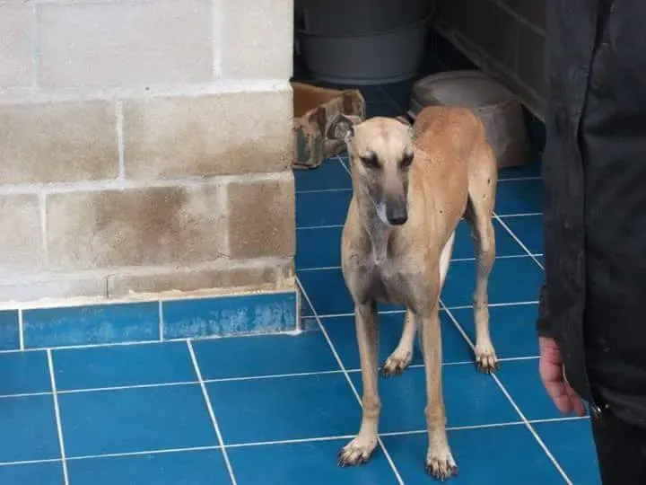 received 10209556899672009