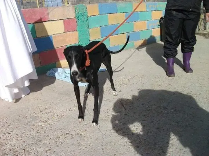 received 10209556900472029