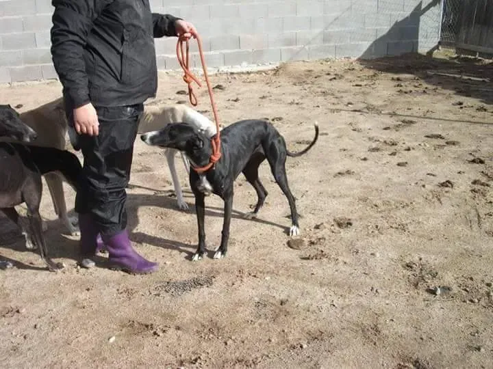 received 10209556900512030