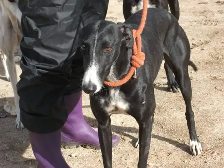 received 10209556900552031