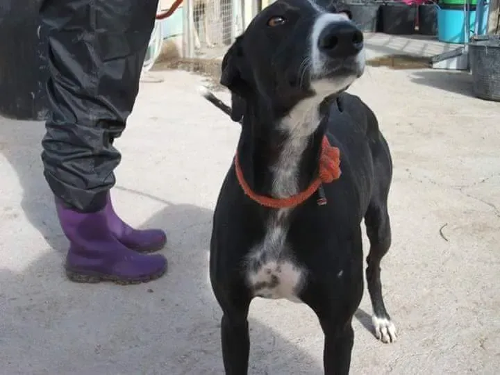 received 10209556900712035