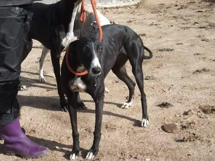 received 10209556900792037