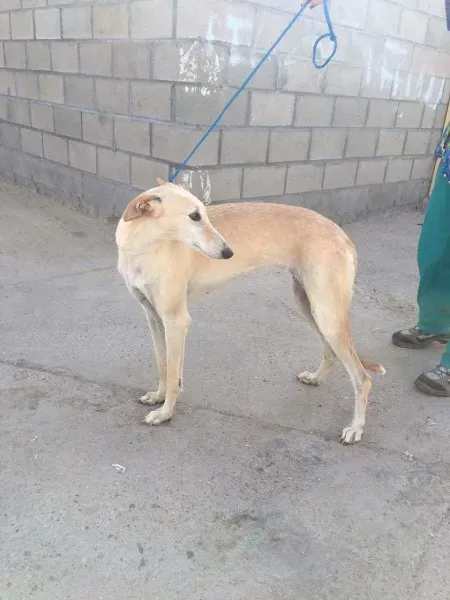 received 10209624762369662