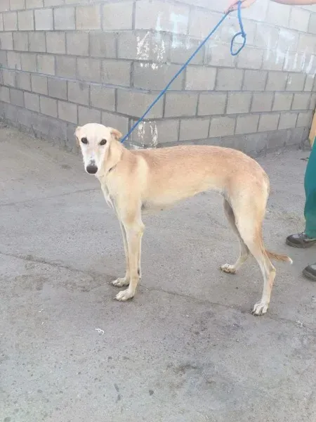 received 10209624765569742