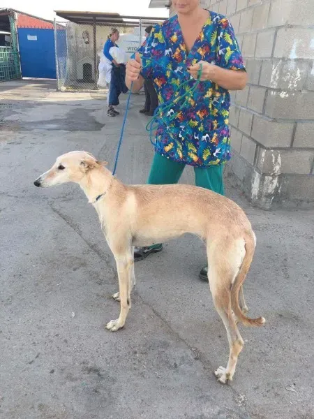 received 10209624765769747