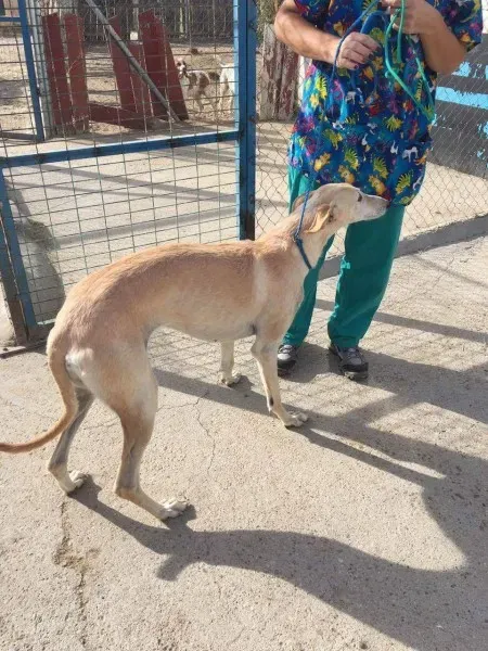 received 10209624771609893