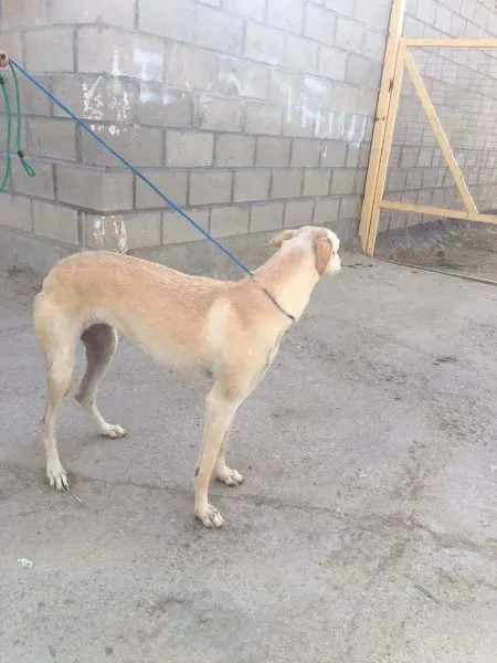 received 10209624772489915