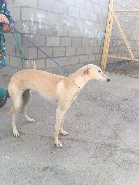 received 10209624774529966