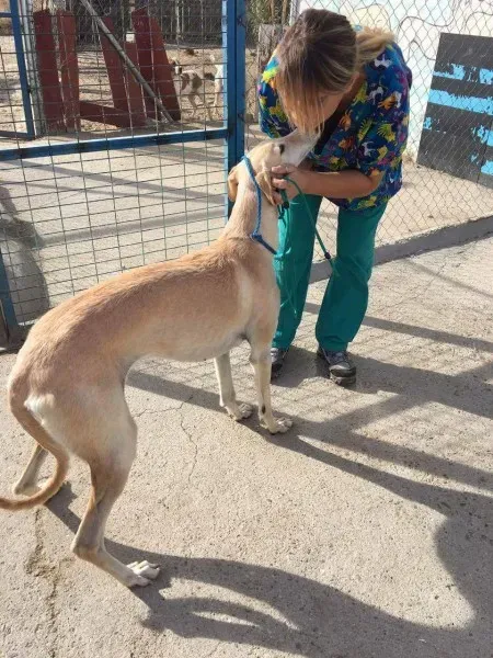 received 10209624775729996