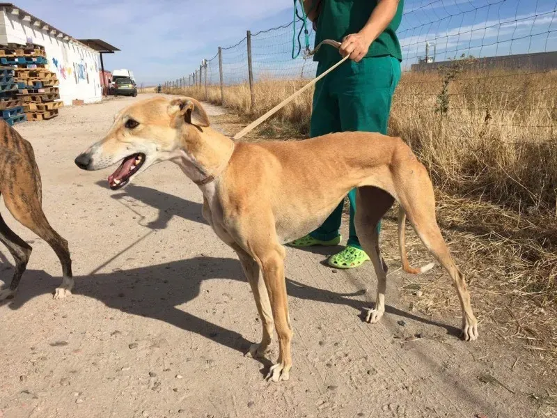 received 10209626480572616