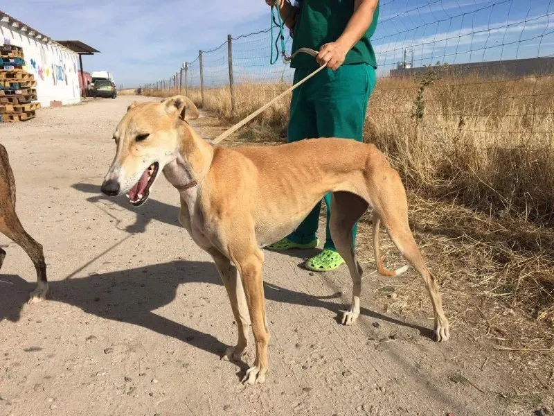 received 10209626480612617