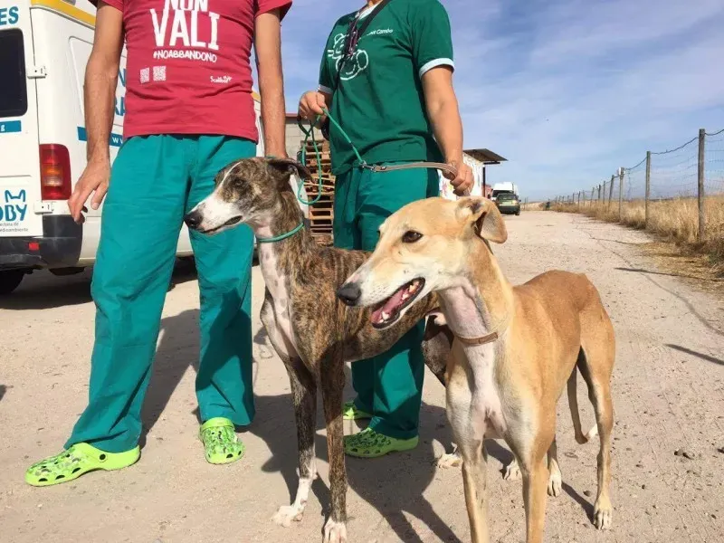 received 10209626511853398