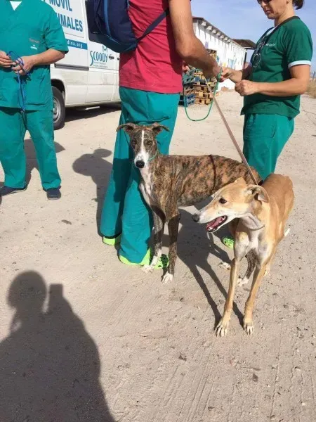 received 10209626511893399