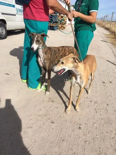 received 10209626511933400