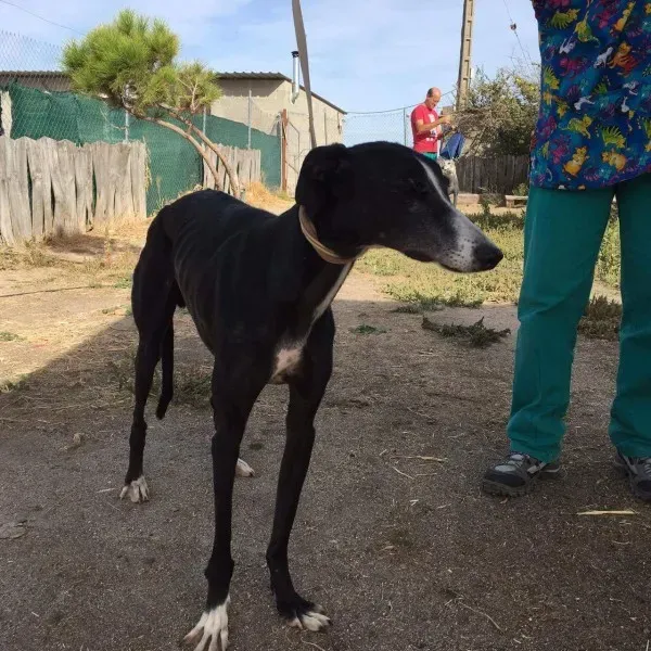 received 10209626520853623