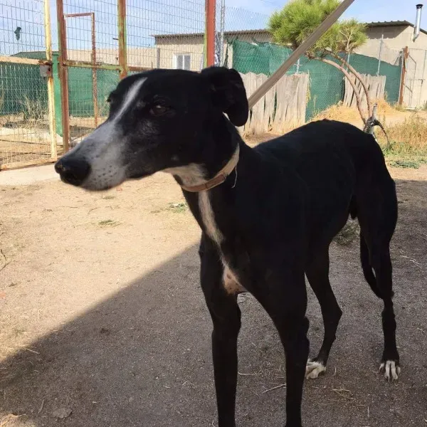 received 10209626520893624