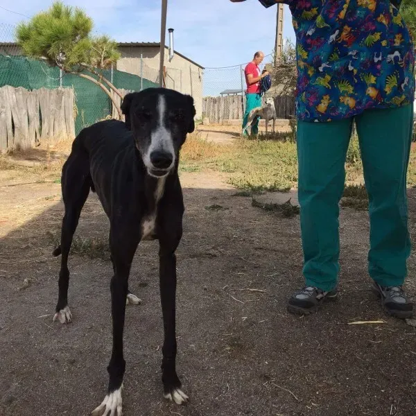 received 10209626520933625